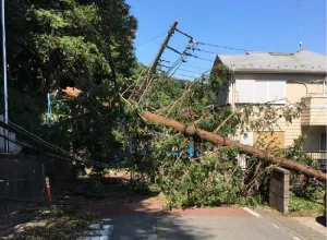 台風15号被害