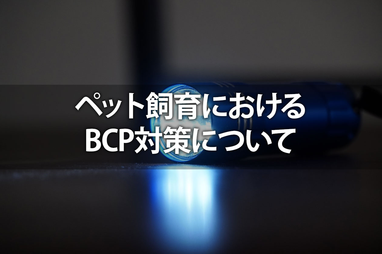 蓄電池を導入することでペットを守れる!停電対策は自分だけの為ではない