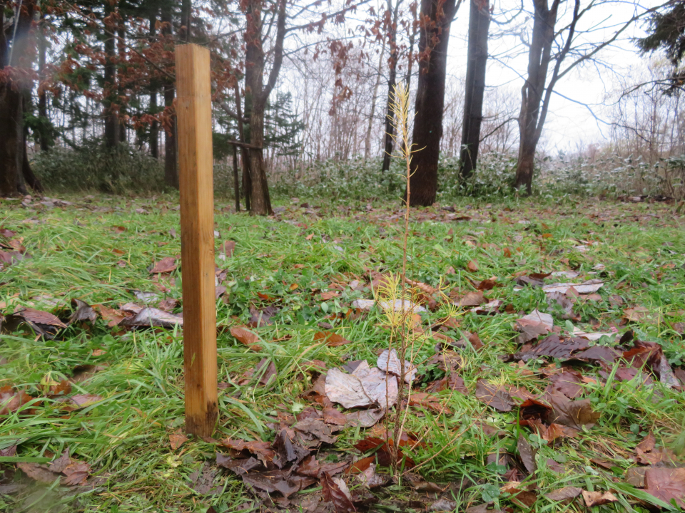 画像引用：京極町ゼロカーボン推進室