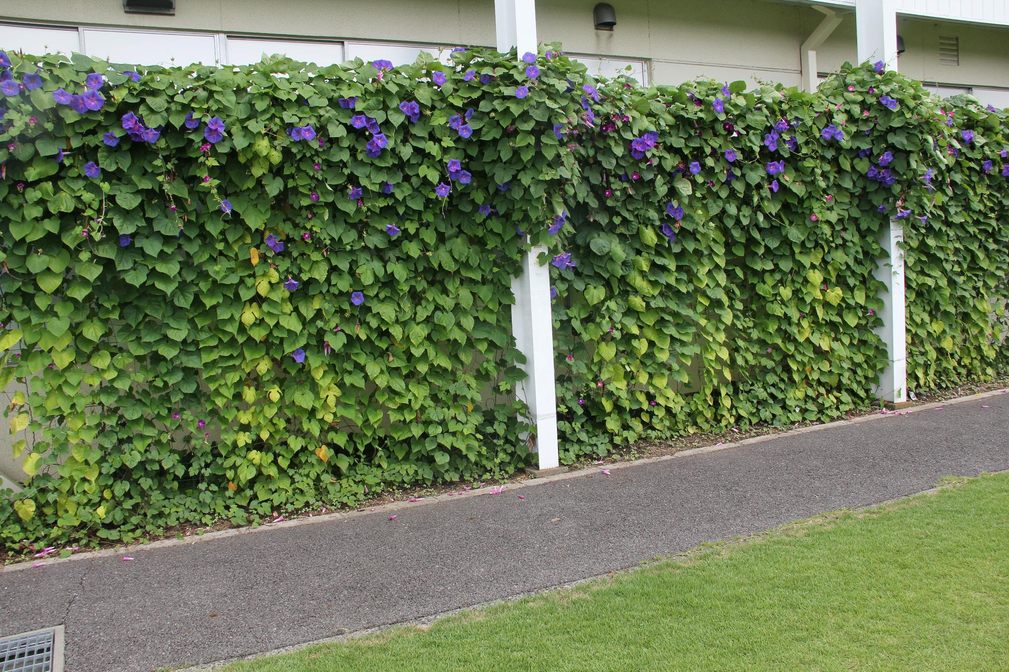 岡谷市イメージ画像