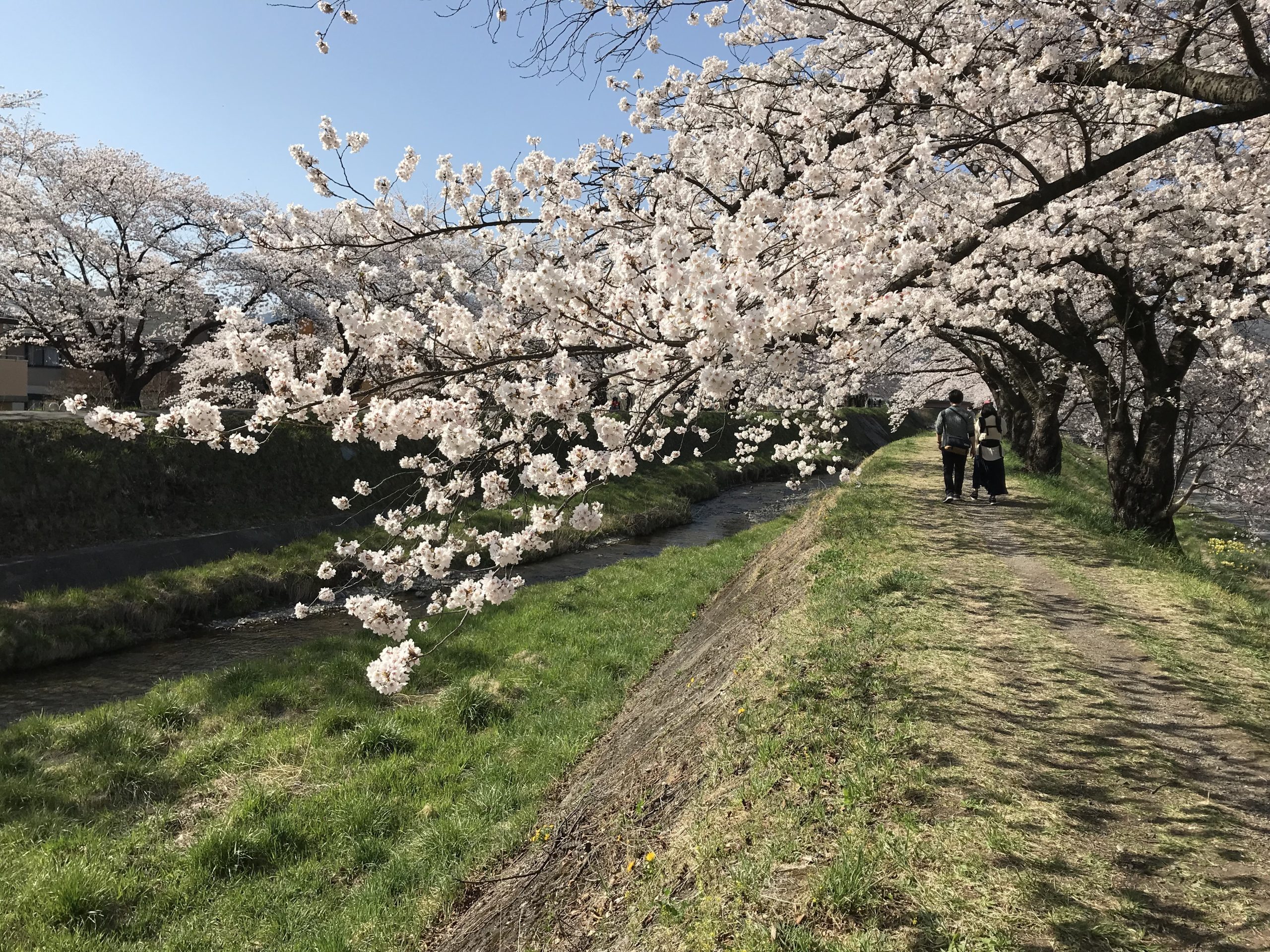 岡谷市イメージ画像