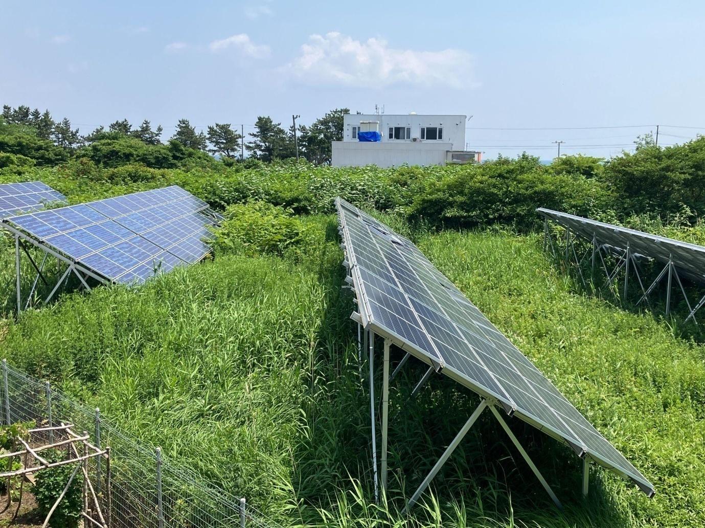太陽光発電所の風景
