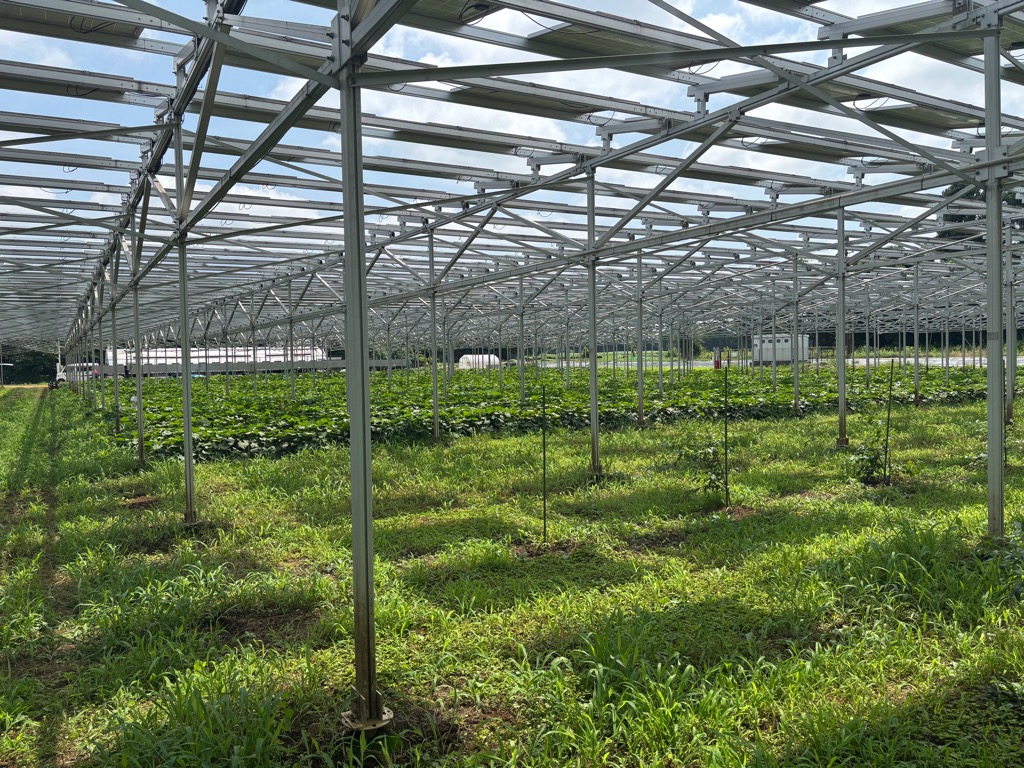 営農太陽光発電設備